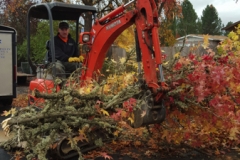 Excavator Equipment Tree Service