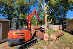 excavator grants pass grapple tree